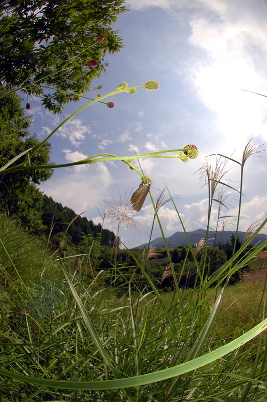 c0043361_2250225.jpg