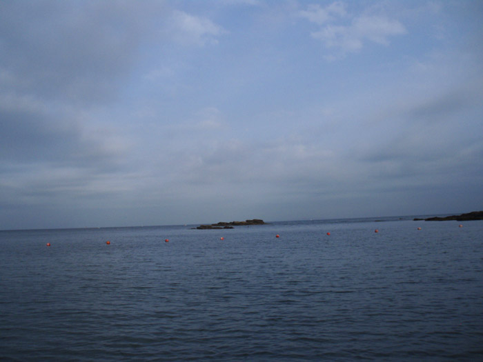 c0110361_14302932.jpg