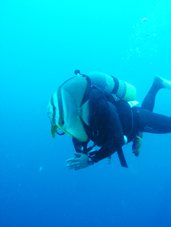 b0062363_2053349.jpg