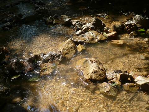 a0063364_234425.jpg