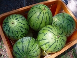 b0133870_22357.jpg