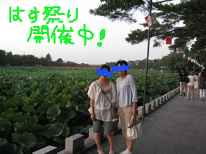 d0050871_148292.gif
