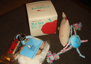 b0091373_1593777.jpg