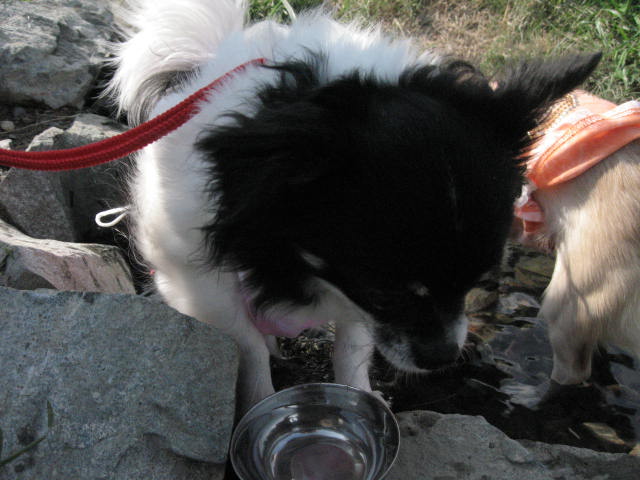 d0070473_17531449.jpg