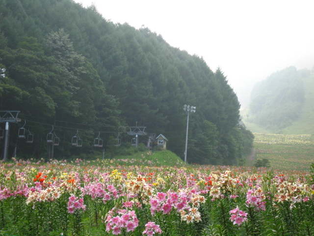 d0070473_20513929.jpg