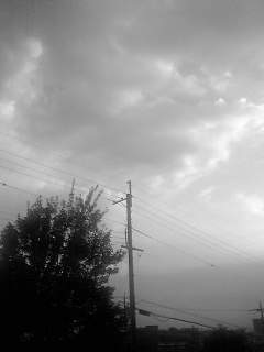 f0100480_1947568.jpg