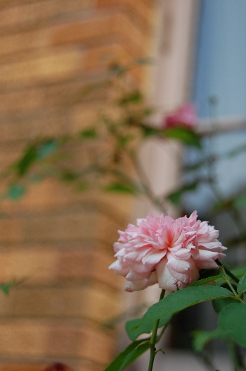 b0143983_13575393.jpg