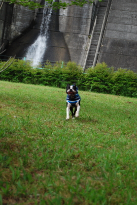 c0092787_18444486.jpg