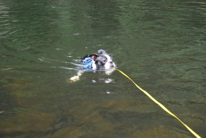 c0092787_18483543.jpg