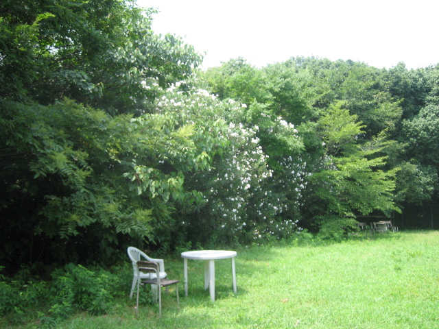 e0051194_10531961.jpg