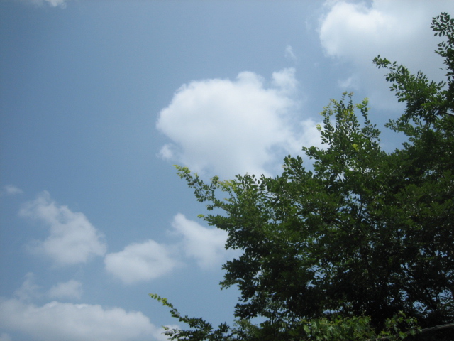 e0051194_10541387.jpg