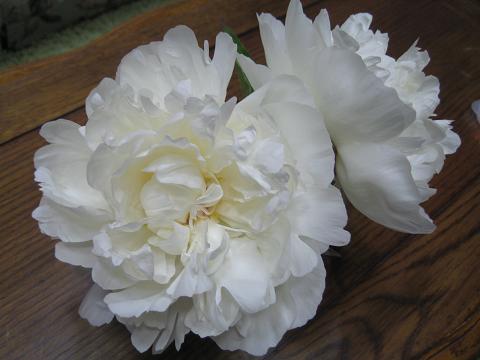 f0138395_13343018.jpg