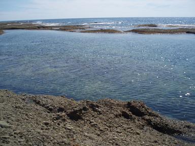 e0106098_183878.jpg