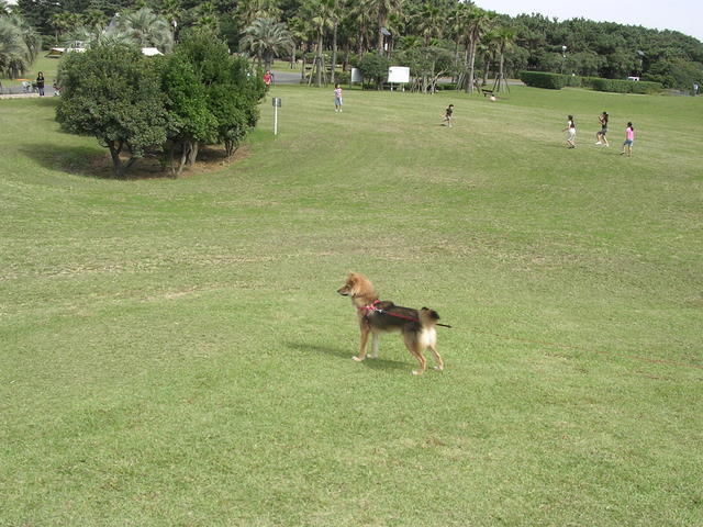f0123098_11203850.jpg
