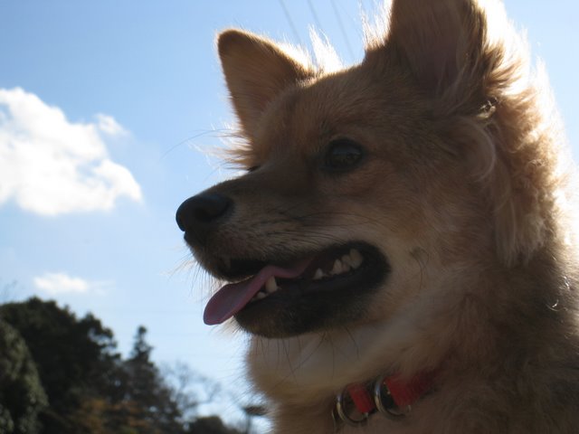 f0123098_11391588.jpg