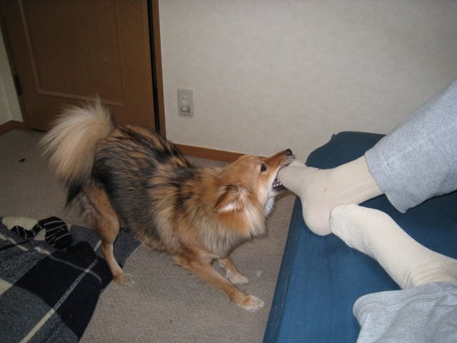 f0123098_11424434.jpg