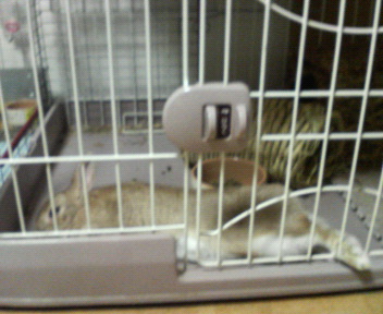 c0090899_2059794.jpg