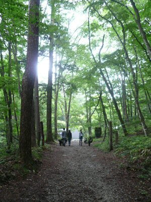 c0050400_1573376.jpg