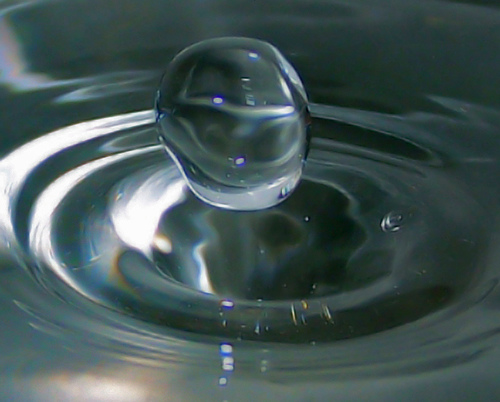 c0093101_11462896.jpg