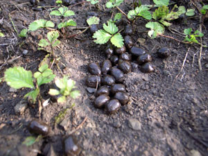 f0135908_22263972.jpg
