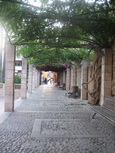 b0064411_21110.jpg