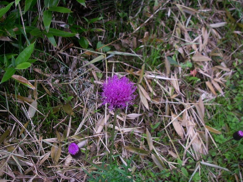 b0062024_03055.jpg