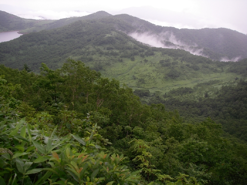 b0062024_045879.jpg
