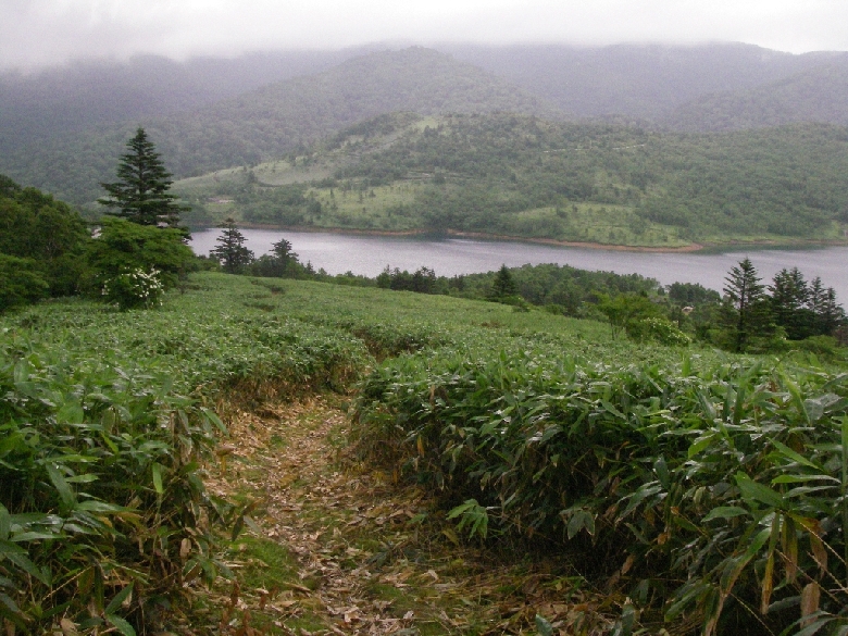 b0062024_06446.jpg