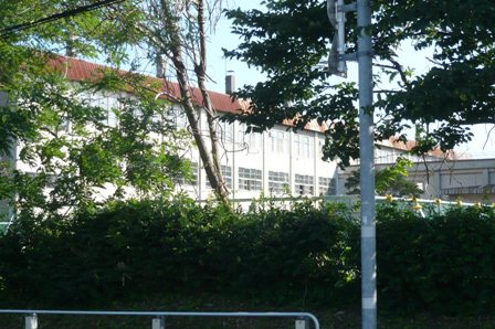 f0136326_8371020.jpg