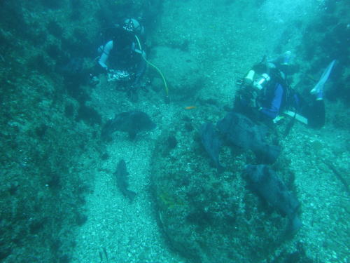 c0034029_22474036.jpg