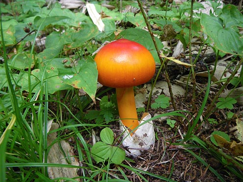 e0025030_16232696.jpg