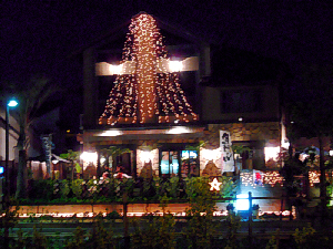 d0017632_8373492.jpg