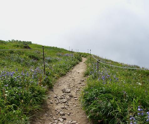 f0118332_0155495.jpg