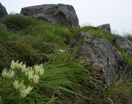 f0118332_01644100.jpg