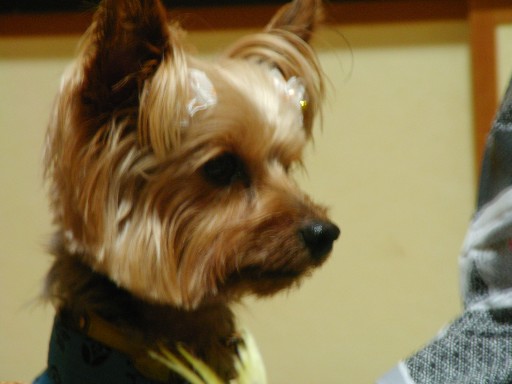 f0002833_1844538.jpg