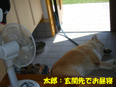 f0008935_0184630.gif