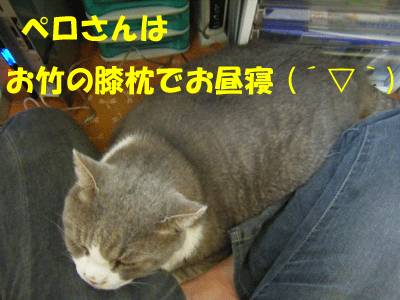 f0008935_0191367.gif