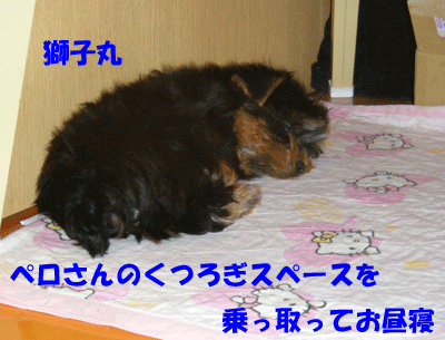 f0008935_019139.gif