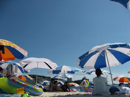 c0073649_18165563.jpg