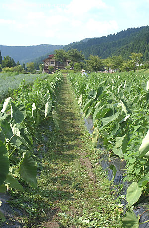 c0145453_005330.jpg