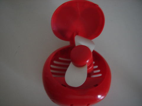 e0083155_13294564.jpg