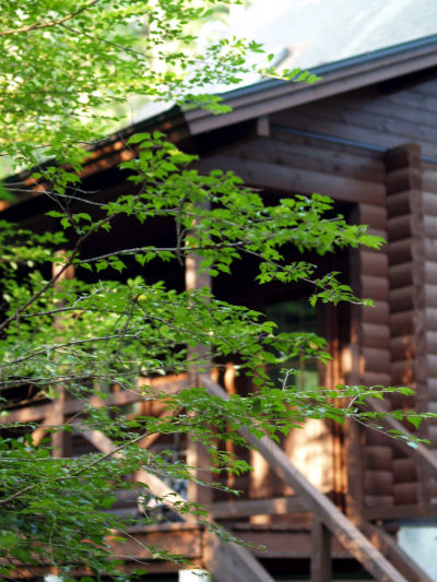 f0107364_2041517.jpg