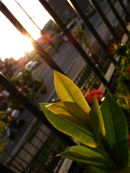 c0132571_855736.jpg