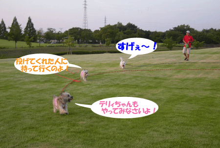 e0066883_2137554.gif