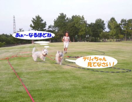 e0066883_21413929.gif