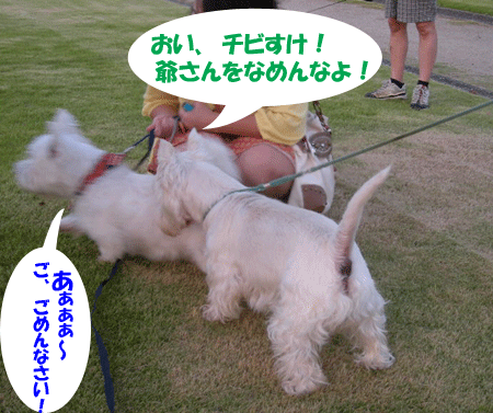 e0066883_21524618.gif