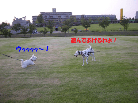 e0066883_21541360.gif