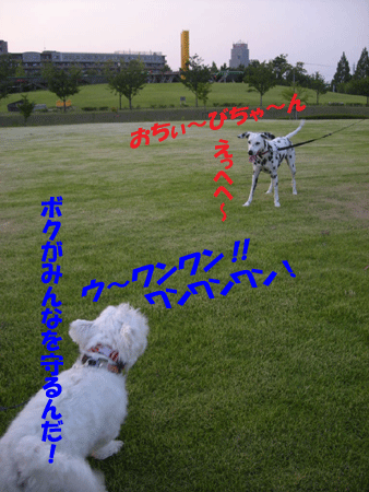 e0066883_225151.gif