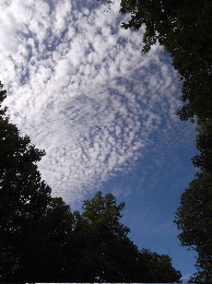 c0130986_23384589.jpg