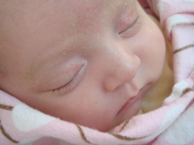 c0103793_17343734.jpg